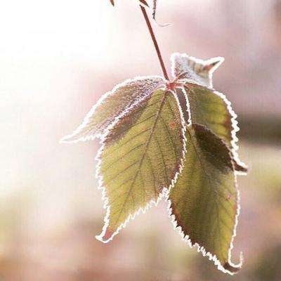 皇冠体育下载地址